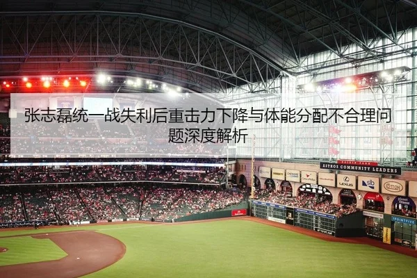 张志磊统一战失利后重击力下降与体能分配不合理问题深度解析